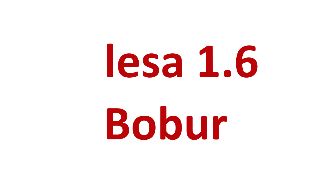 Lesa 1.6 Surx